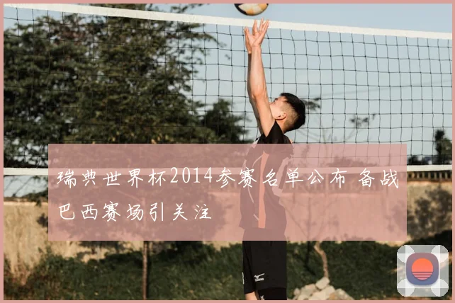 瑞典世界杯2014参赛名单公布 备战巴西赛场引关注
