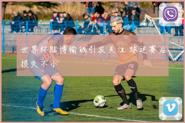 世界杯赌博输钱引发关注 球迷赛后损失不小