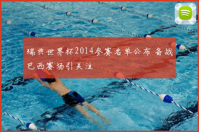 瑞典世界杯2014参赛名单公布 备战巴西赛场引关注
